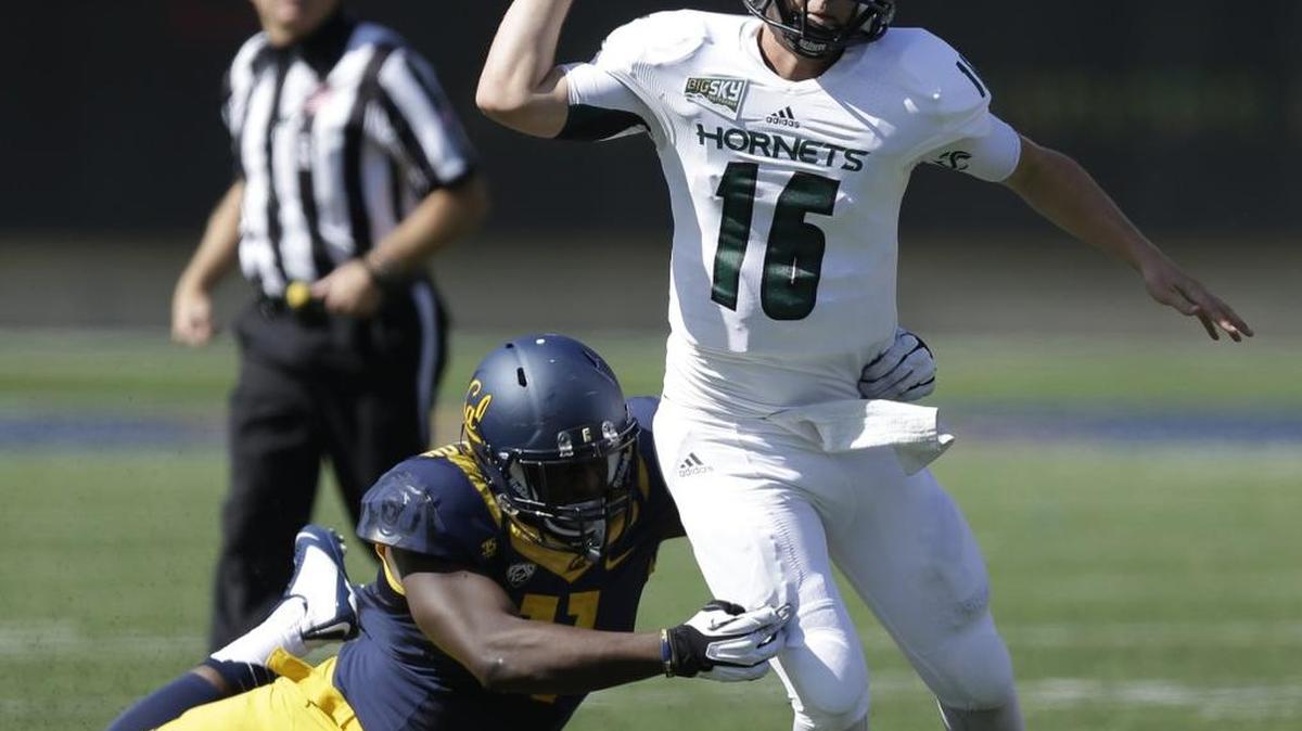 
Sacramento State quarterback Daniel Kniffin, seen here against California last season, was coached by the same coach as Washington quarterback Jake Browning. Browning and Kniffin will square off Saturday at Husky Stadium.
