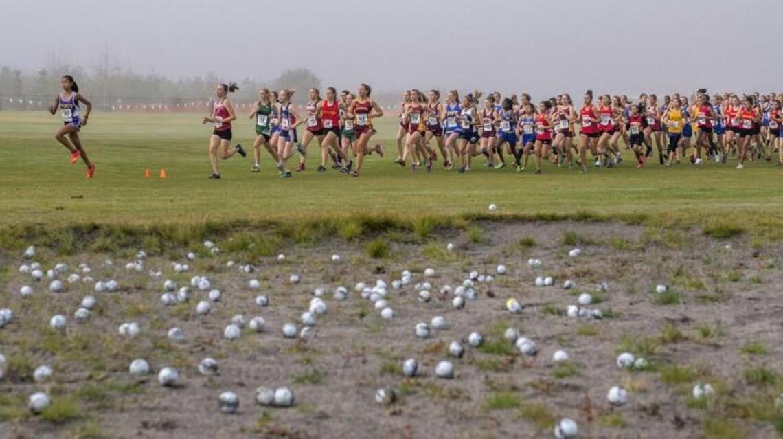 Chambers Creek Park hosting Pac-12 Cross Country Championships for first time