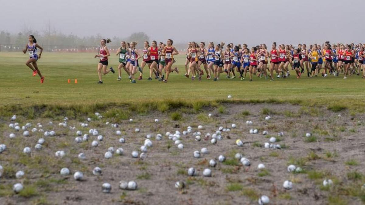 The Class 2A girls race begins at the Westside Classic district cross country championships held at the Chambers Creek Properties Central Meadow in University Place, October 28, 2017.
