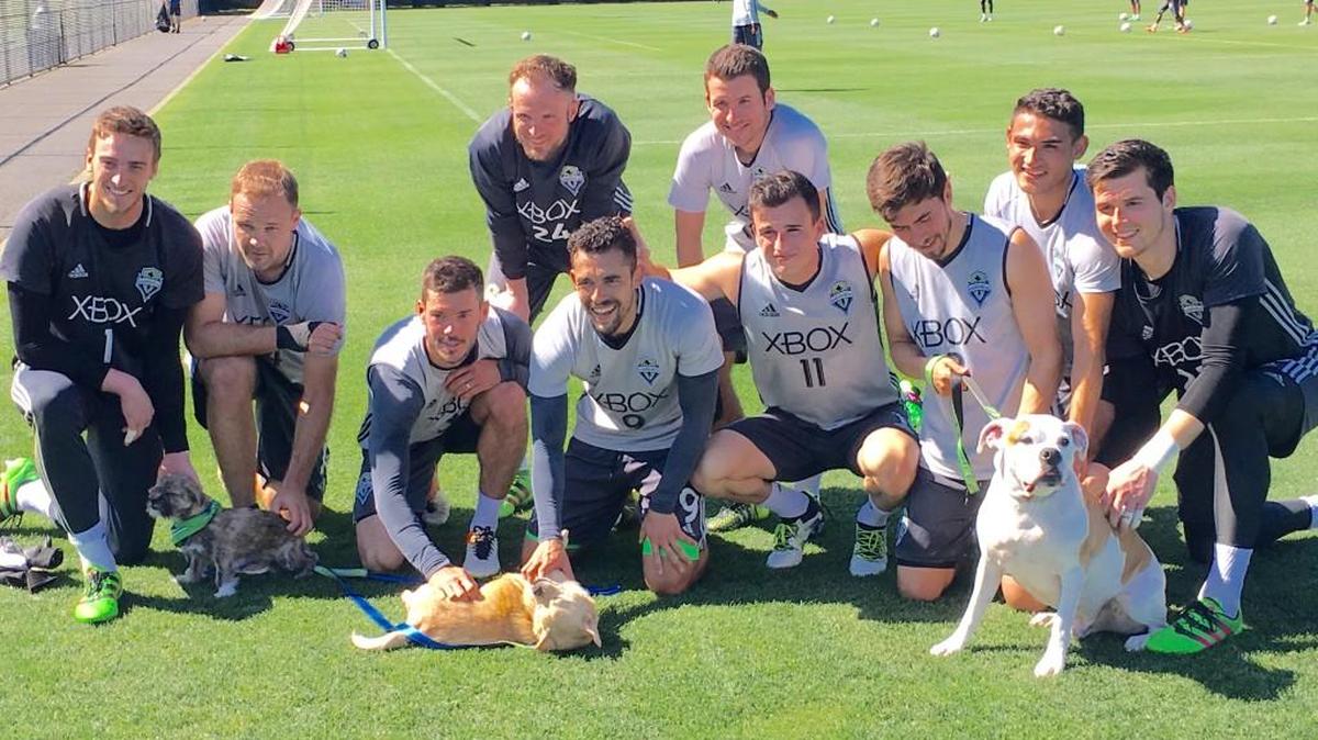 Some Sounders spent time with visitors from the Seattle Humane Society after training today at Starfire.