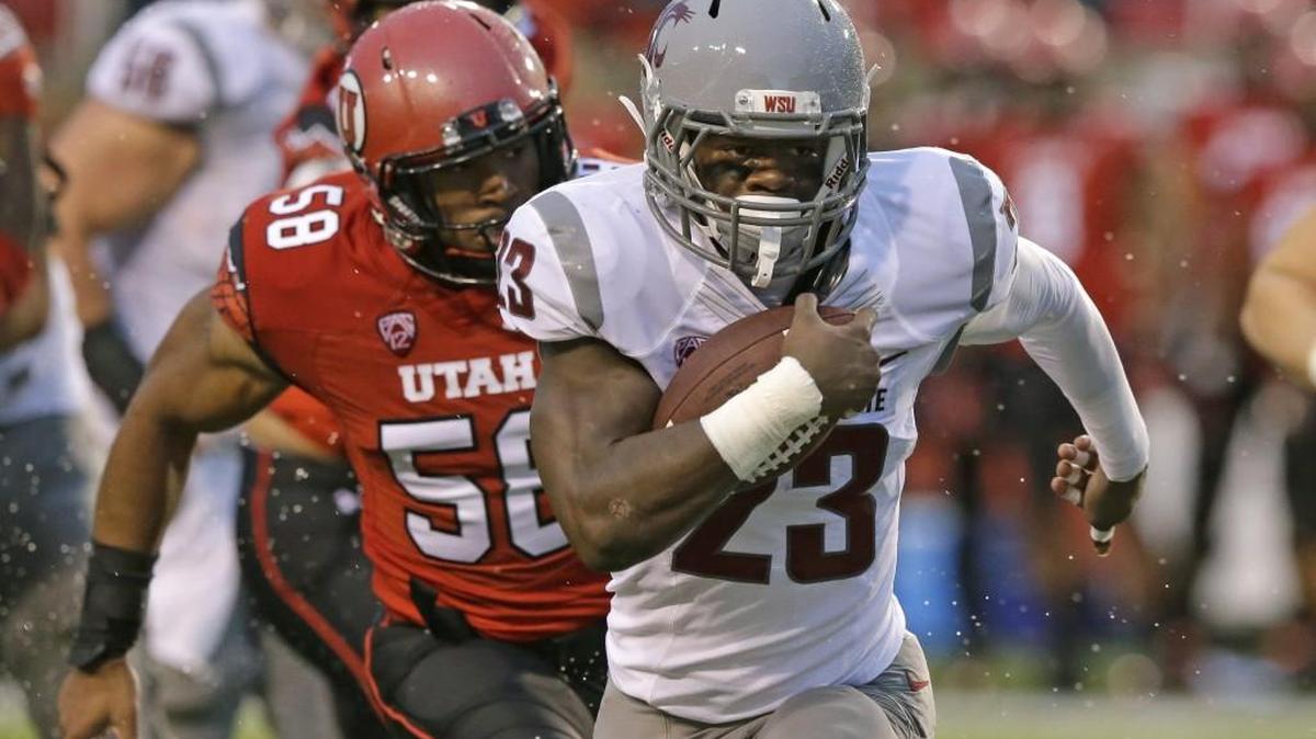 
Washington State running back Gerard Wicks has a combination of size and speed that could make him one of the leading ballcarriers for the Cougars this season.
